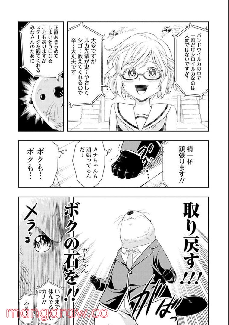 群れなせ！シートン学園 - 第61話 - Page 11