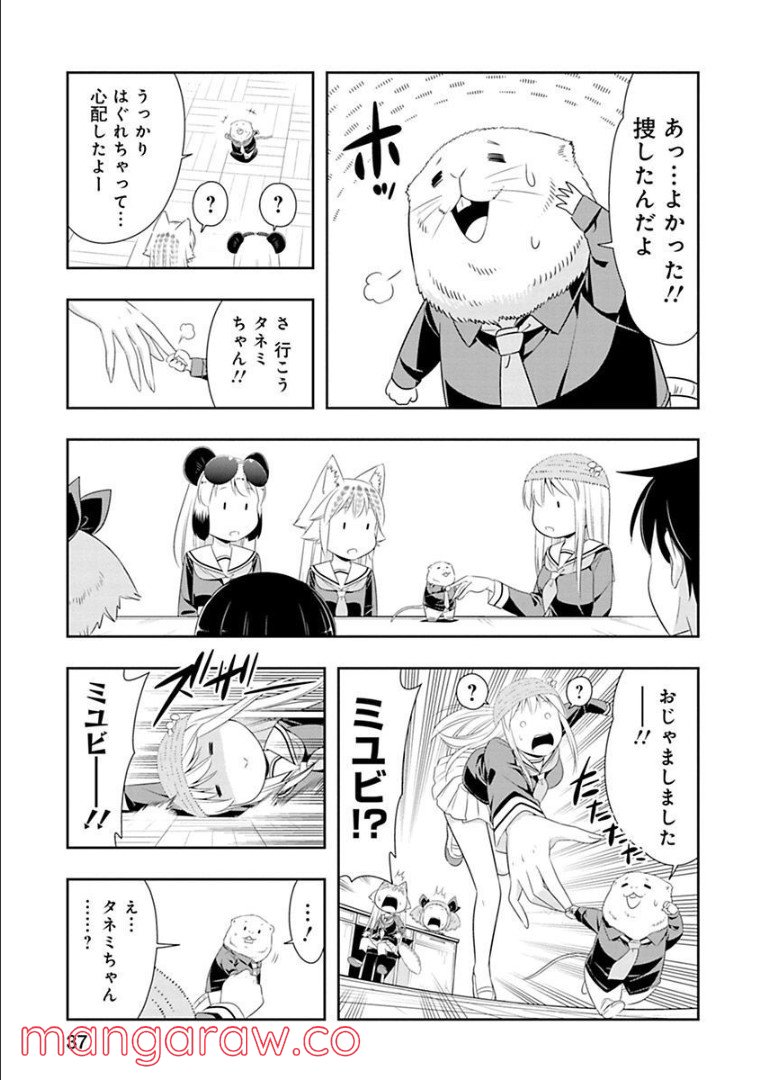 群れなせ！シートン学園 - 第73話 - Page 17