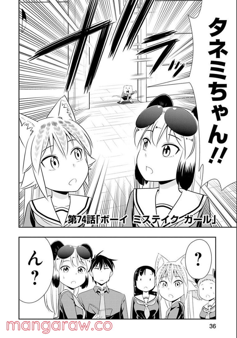 群れなせ！シートン学園 - 第73話 - Page 18